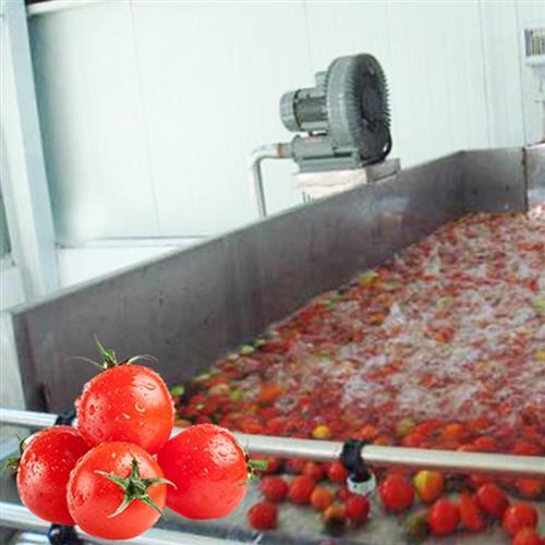 番茄酱番茄沙司番茄罐头加工生产线交钥匙工程_产品(价格,厂家)信息_